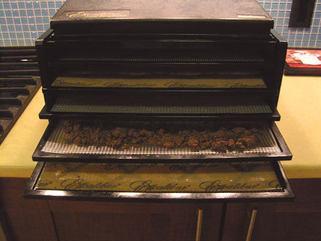 Five Tray