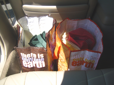 Grocery bags in car